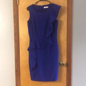 Calvin Klein Navy Dress